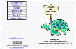Salvem les tortugues marines