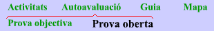 Autoavaluaci�, prova oberta
