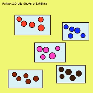 Formació del grup d'experts 