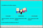 Activitat 4