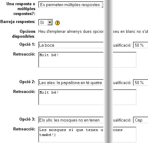 Qüestionaris: creació de preguntes Qüestionaris: creació de preguntes