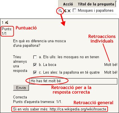 Qüestionaris: creació de preguntes Qüestionaris: creació de preguntes