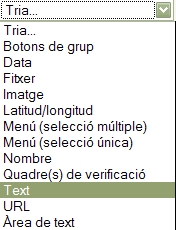 Text Text