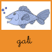 GALI