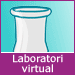 Laboratori virtual