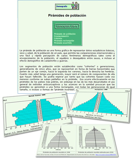 Tipologies de piràmides de població