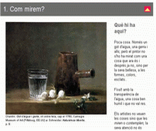 Conèixer l'Art: Com mirem?