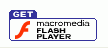 Flash Player