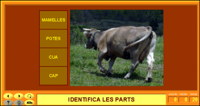 Activitats Jclic Activitats Jclic