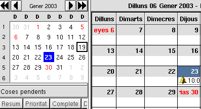 organizer